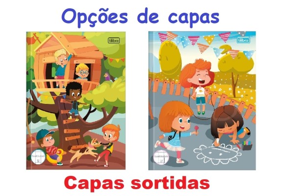 https://www.colegiosantaclara.papelariapremium.com.br/image/cache/data/eftr/Img_ftr_rp_179101-580x400.JPG
