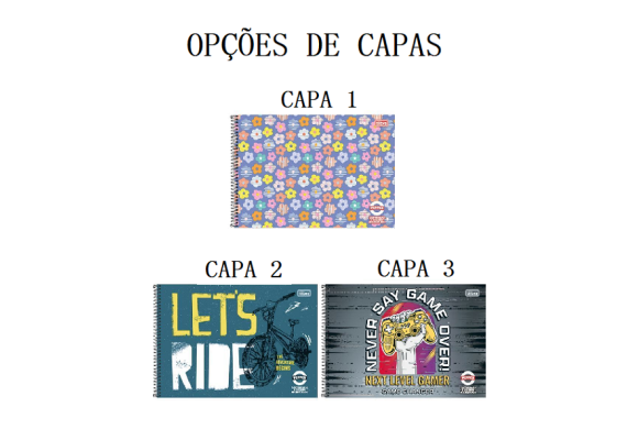 https://www.colegiosantaclara.papelariapremium.com.br/image/cache/data/eftr/Img_ftr_rp_395701-580x400.PNG