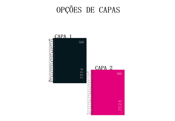 https://www.colegiosantaclara.papelariapremium.com.br/image/cache/data/eftr/Img_ftr_rp_409301-580x400.PNG